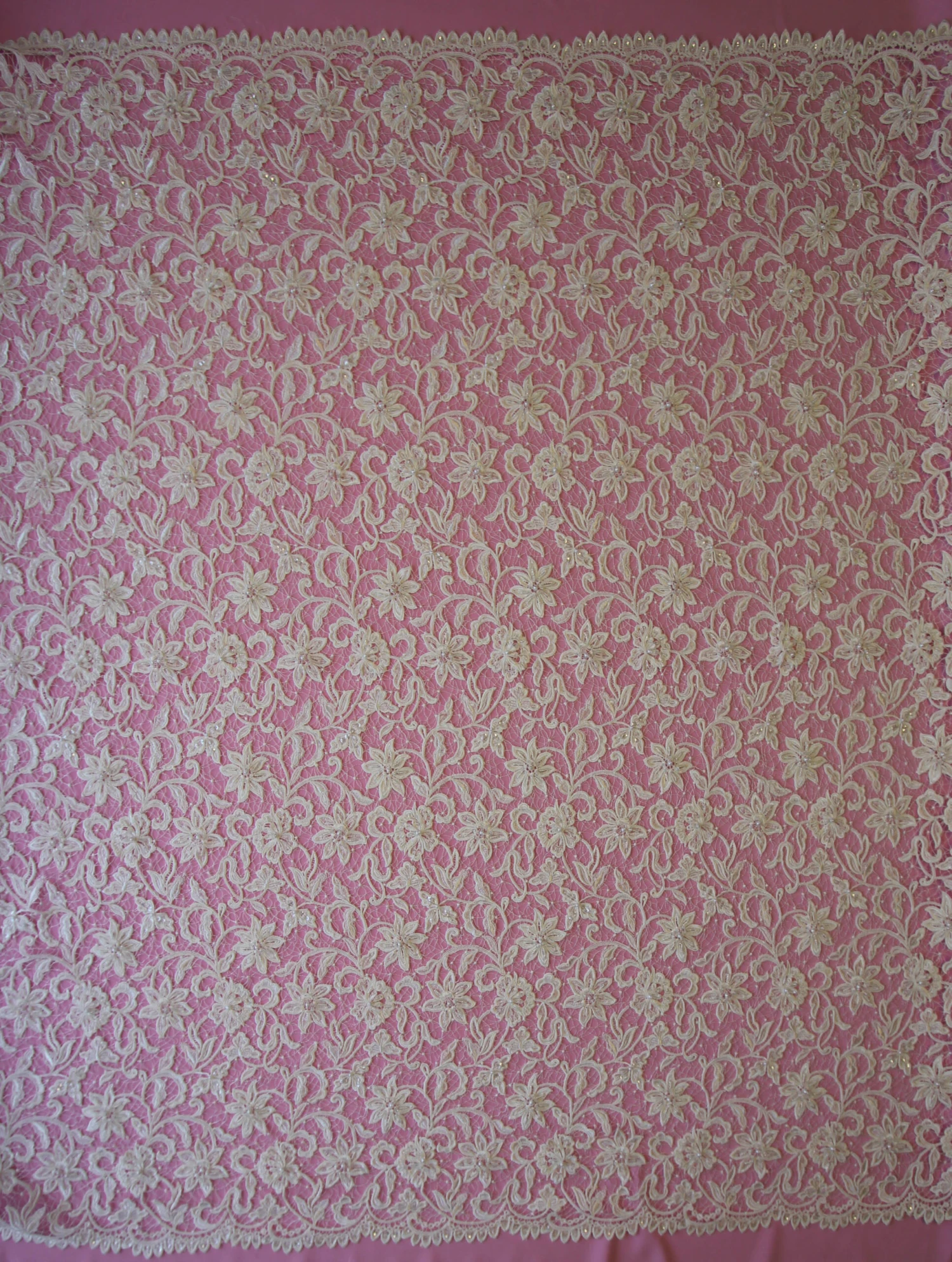 Ivory Beaded And Corded Lace - Elaine 6 Ivory Beaded And Corded Lace - Elaine - Image 4