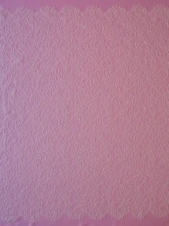 Ivory Chantilly Lace - Samantha 13 Ivory Chantilly Lace - Samantha -Elegance in Lace ivory chantilly lace samantha full width