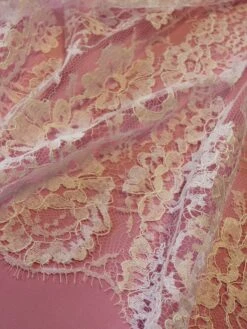 Ivory Chantilly Lace - Serenity -Elegance in Lace ivory chantilly lace serenity close up