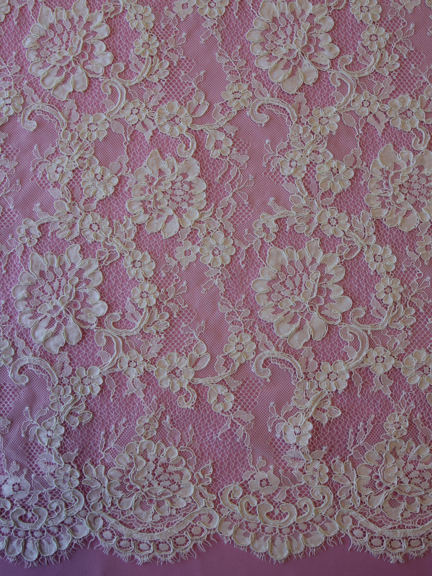 Ivory Corded Lace - Dionne 5 Ivory Corded Lace - Dionne - Image 3