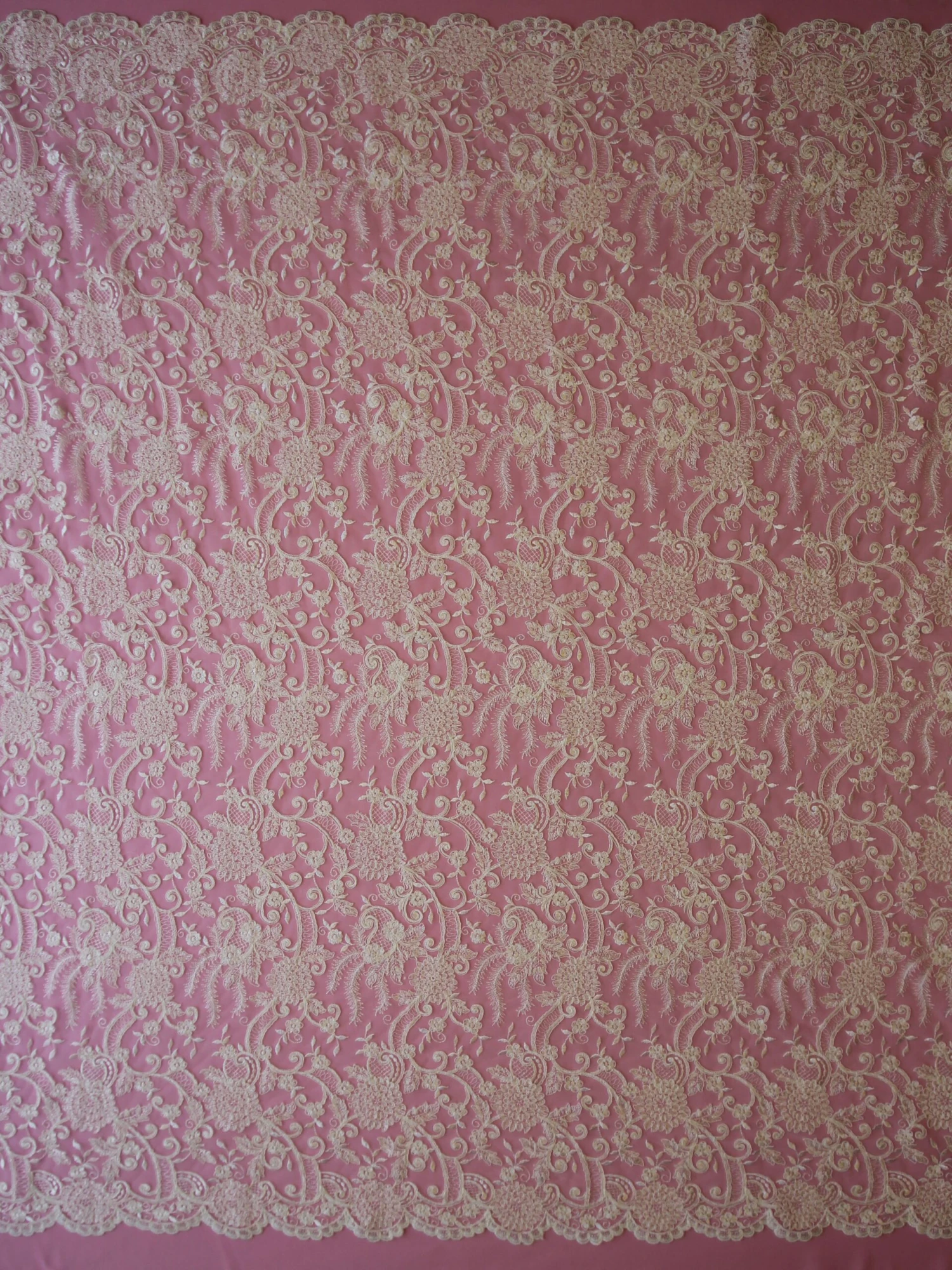 Ivory Corded Lace - Vanessa 6 Ivory Corded Lace - Vanessa - Image 4