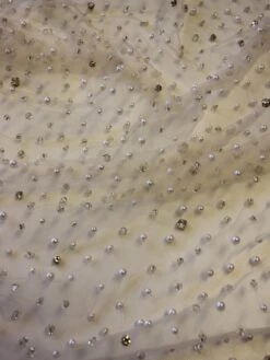 Champagne Diamanté & Beaded Tulle - Zola -Elegance in Lace ivory diamant and beaded tulle zola