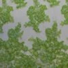 Tropical Green Lace - Victoria -Elegance in Lace lime green beaded lace victoria