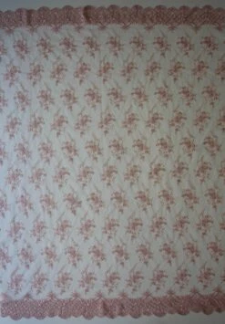 Peach Embroidered Lace - Kirsty -Elegance in Lace peach lace kirsty full width