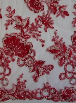 Tulip Red Lace - Roberta