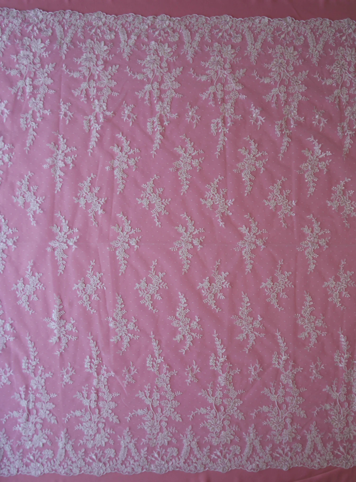 White Corded Lace - Delmira 5 White Corded Lace - Delmira - Image 3